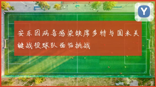 安东因病毒感染缺席多特与国米关键战役球队面临挑战