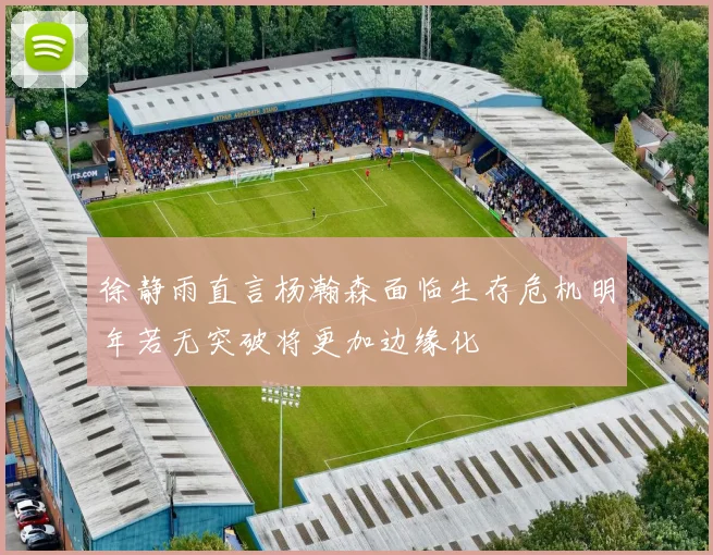 徐静雨直言杨瀚森面临生存危机明年若无突破将更加边缘化